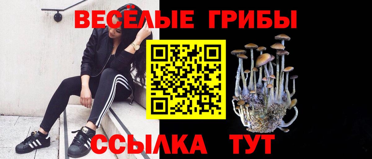 Галлюциногенные грибы мицелий  Вход с VPN  Барнаул 